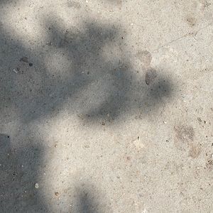 Meet your Posher, hello